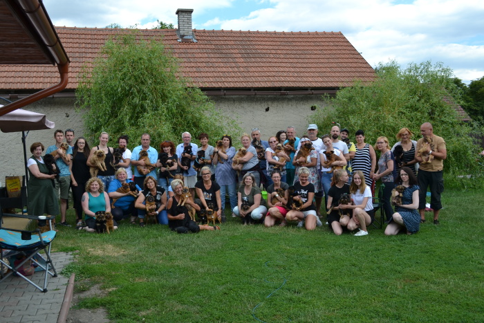 onyxovn 20191